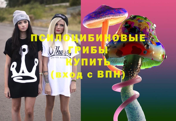 гидра Алексеевка