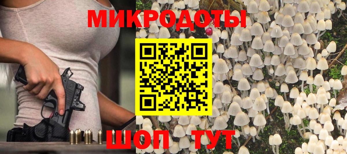 Евпатория  Галлюциногенные грибы мухоморы  Вход с VPN  Галлюциногенные грибы Psilocybe 
